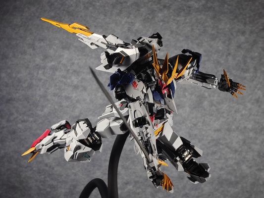 Barbados lupus Rex 1/100